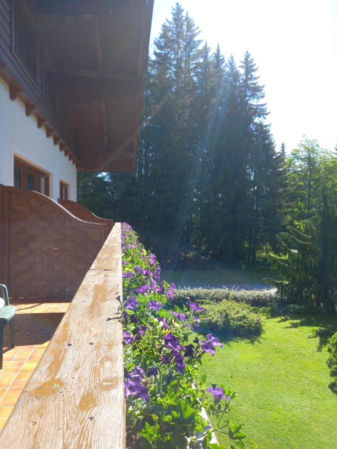 Ferienwohnung Landhaus Wieser Ramsau am Dachstein Exterior foto