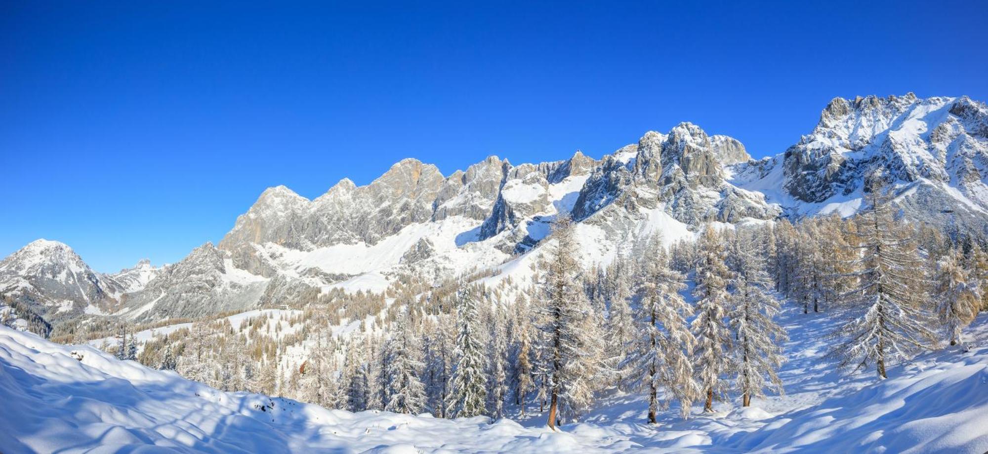 Ferienwohnung Landhaus Wieser Ramsau am Dachstein Exterior foto